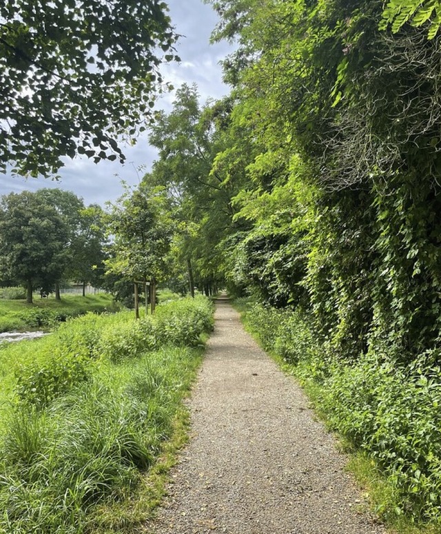 Der Wanderweg fhrt entlang des Flsschens Neumagen.  | Foto: Ulrike Ott