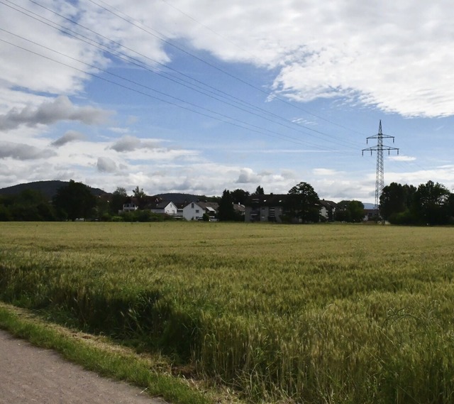 Das knftige Baugebiet Rmern in Rheinfelden-Herten.  | Foto: Heinz und Monika Vollmar