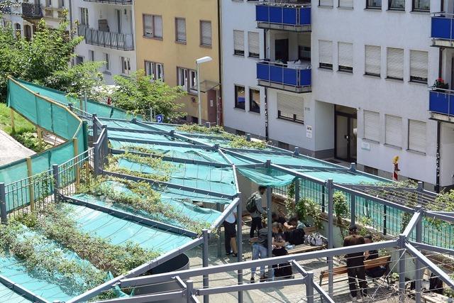 Was Fachleute fr den Umgang mit der offenen Drogenszene in Freiburg empfehlen