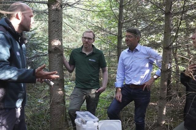 Wissenschaftler untersuchen den Wald