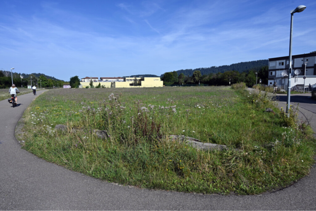 Die Verlngerung der Freiburger Stadtbahn in Richtung Kappel versptet sich noch mehr