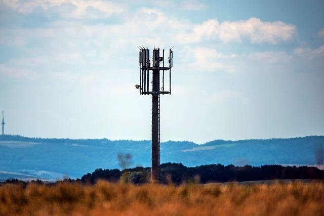 Schuttertal stimmt trotz Kritik einem Mobilfunkmast zu