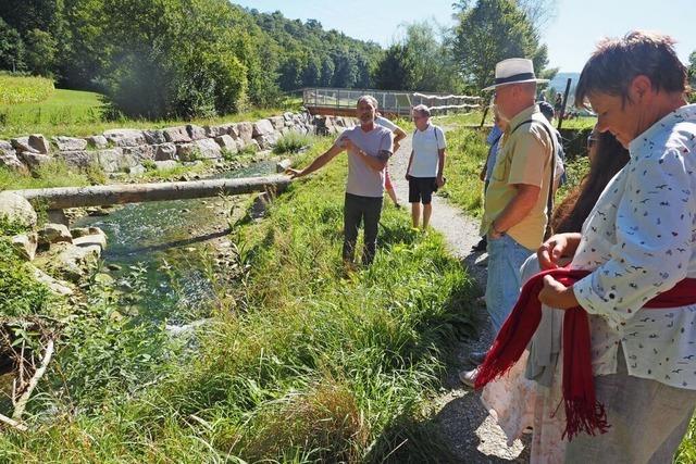 Wie ein Naturprojekt im Schweizer Rheinfelden vor Hochwasser schtzt und Brauwasser rettet