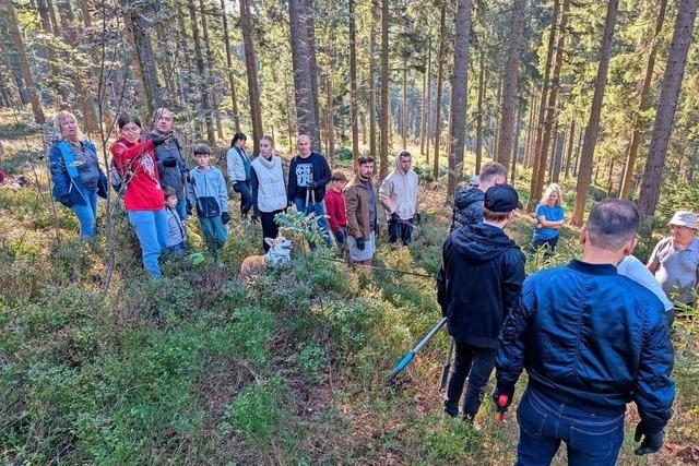 Platz fr das Auerhuhn schaffen: Geflchtete helfen freiwillig im Wald am Kandel