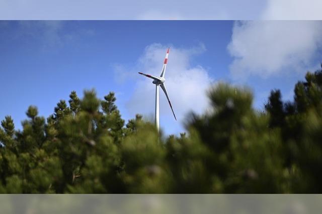 Die Windkraftoffensive fr die Hornisgrinde nimmt Fahrt auf