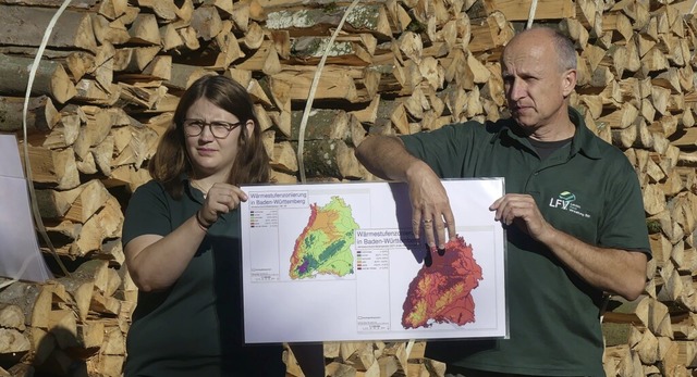 Sarah Lffler und Hans-Georg Pfller berichteten ber die Klimaentwicklung.  | Foto: Tom Jacob/Ortenaukreis