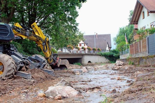 Bagger ordnen Strmung im Bach bei Ehrenstetten