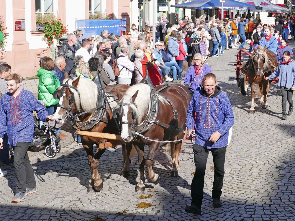 Eingebettet ins 65. Ortenauer Weinfest in der Offenburger Innenstadt war zur Feier von 100 Jahre Oberrheinmesse Offenburg ein Festumzug am Sonntagvormittag. Das Weinfest dauert noch bis Montagabend, 30. September.