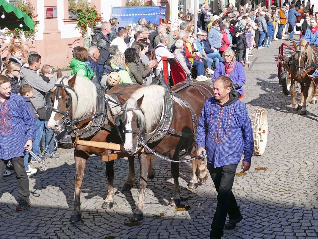 Eingebettet ins 65. Ortenauer Weinfest in der Offenburger Innenstadt war zur Feier von 100 Jahre Oberrheinmesse Offenburg ein Festumzug am Sonntagvormittag. Das Weinfest dauert noch bis Montagabend, 30. September.