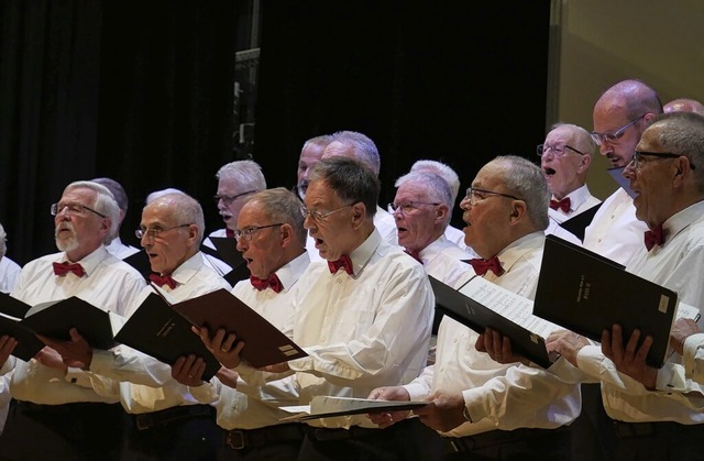 Der Mnnerchor Wehr und die Camerata R...aus Wiener und Berliner Operetten auf.  | Foto: Michael Gottstein