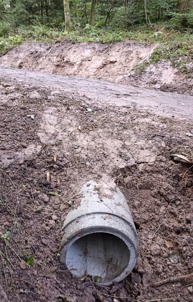 Mit sogenannten Dolen wird das Wasser abgeleitet.  | Foto: Stadt Lahr