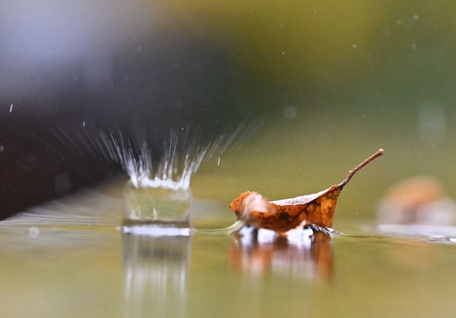 In Baden-W&uuml;rttemberg ziehen gebie...se Schauer und Regen auf. (Symbolbild)  | Foto: Bernd Wei&szlig;brod/dpa