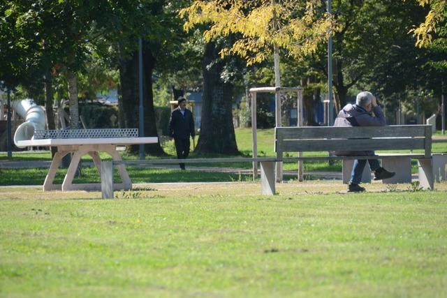 Der neu gestaltete Rheinpark in Weil-Friedlingen ist eine grenzberschreitende Oase