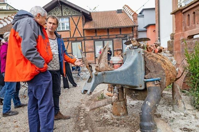 Kulturzentrum in Lrrach hat ein neues Wahrzeichen: Nellies neues Nashorn ist abstrakter