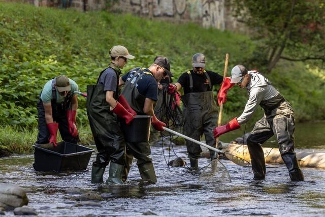 Hochwasser verzgert die Dreisam-Sanierung