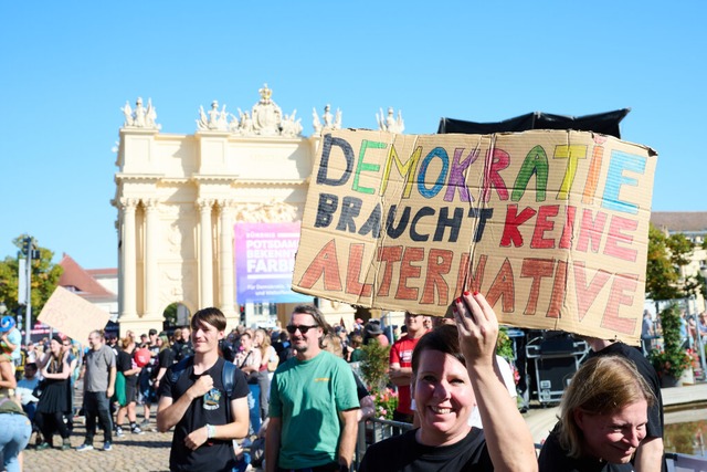 Die    landesweite Langen Nacht der De...ine Demo   am Wochenende  in  Potsdam.  | Foto: Annette Riedl (dpa) 