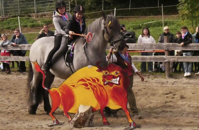 Whrend des inklusiven Reitturniers in Rheinfelden-Herten  | Foto: Heinz und Monika Vollmar