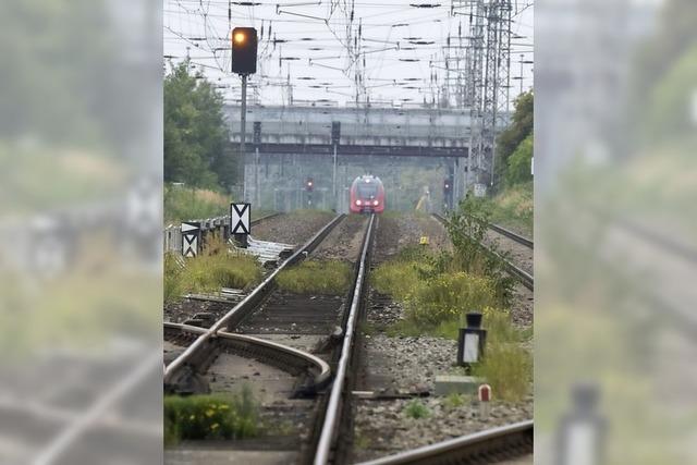 Wie kann man das Klima schtzen?