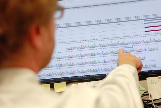 Analysiert wurde das Blut von Forschern der Universit&auml;t G&ouml;ttingen.  | Foto: Matthias Bein/dpa