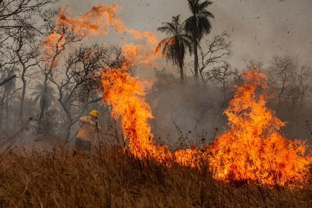 Indigene Feuerwehrleute kämpfen in Brasilien gegen Flammen