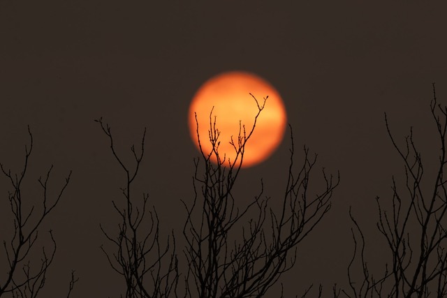 Der gesamte Himmel ist bei den Br&auml;nden in Rauch geh&uuml;llt.  | Foto: Diego Cardoso/dpa