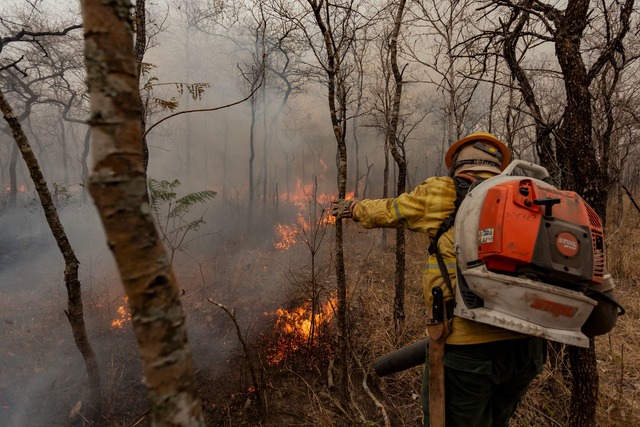 Flammen fressen sich durch die trockene Landschaft.  | Foto: Diego Cardoso/dpa