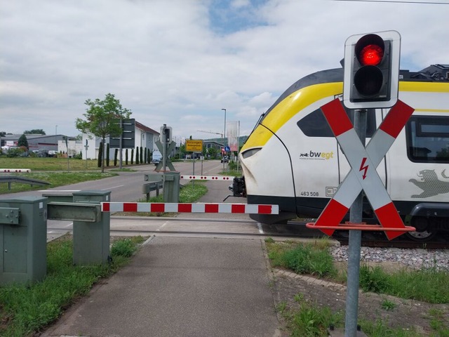 Die Breisgau-S-Bahn fllt im Oktober aufgrund von Bauarbeiten fter mal aus.  | Foto: Sophia Hesser