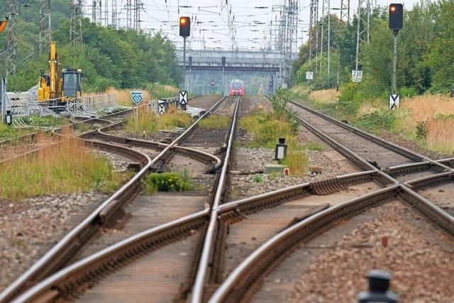 Wie kann man das Klima schtzen?