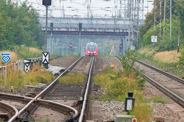 Mit dem Zug zu reisen ist klimafreundlich.  | Foto: Stefan Sauer (dpa)