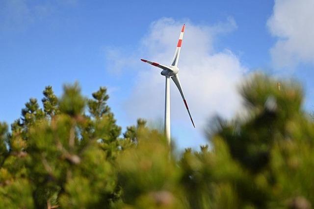 Windrder in Grwihl knnten am Hoheneck gebaut werden – aber bitte mit Abstand