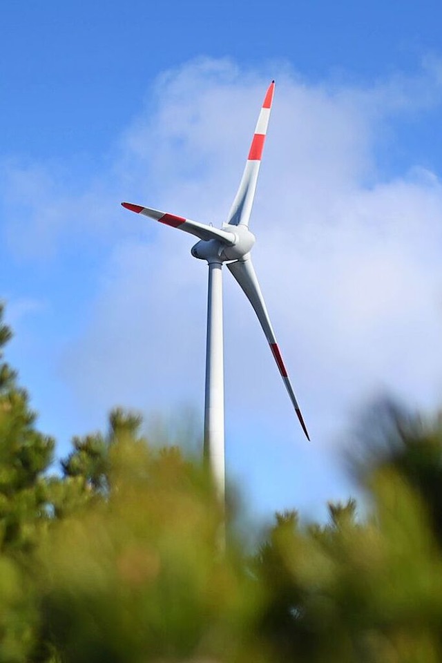 Windrder wie dieses wird es bald auf dem Grwihler Hoheneck geben.  | Foto: Uli Deck (dpa)