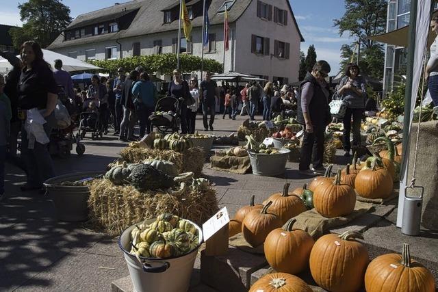 Herdpfel, Weingenuss und Rockmusik am Beckenrand