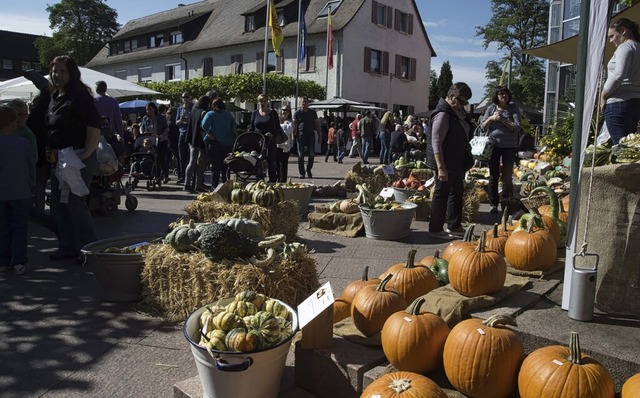 Der Kartoffelmarkt mit &#8222;verkaufs...Feiertag&#8220; in Neuenburg steht an.  | Foto: Volker Mnch