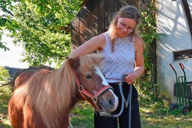 Shetlandpony Mxle bekommt auf dem Murstenhof in Gundelfingen-Wildtal eine zweite Chance - und nicht nur er