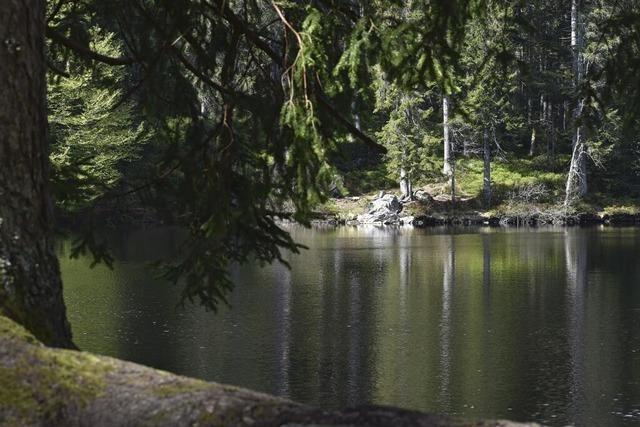 Mystische Orte im Schwarzwald