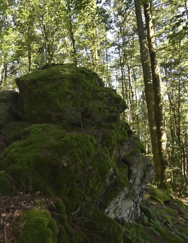 Der Vgelestein hoch ber Gutach  | Foto: Silke Kohlmann