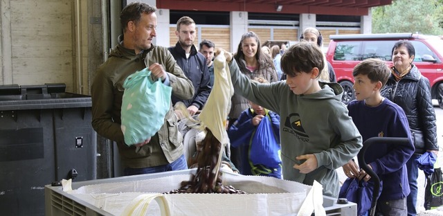 Die Kinder geben die Kastanien ab &#82...ledag&#8220; mehrere Tonnen zusammen.   | Foto: Katharina Kubon