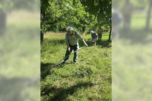 Mutmacherprojekte als Schwerpunkt