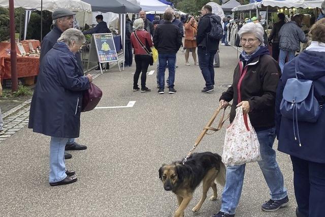 Naturparkmarkt in Wallbach