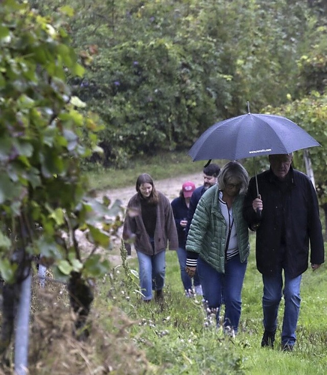 Wandern in den Reben mit Schirmen  | Foto: Volker Mnch