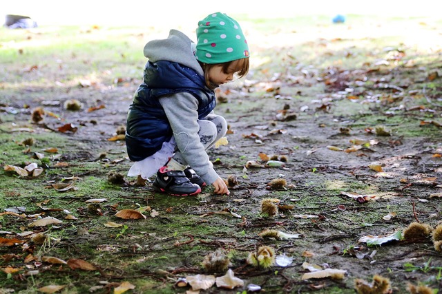 So viele Kastanien: Gerade der Herbst ...anchen Kindern Sammelleidenschaft aus.  | Foto: Mascha Brichta  (dpa)