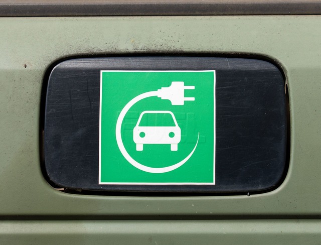 Ein Elektroauto-Symbol auf einem Auto.  | Foto: Soeren Stache/dpa