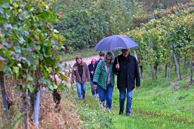 Weinwanderer trotzen Regen in Britzingen