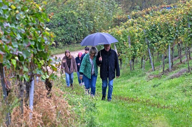 Mit Regenschirmen ging es durch die  Reben  | Foto: Volker Mnch