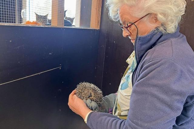 Haus- und Wildtiere, aber auch exotische Gste beherbergt das Tierheim Lffingen