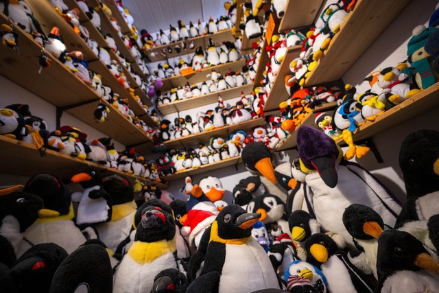 Das Museum besitzt nach eigenen Angabe...&szlig;te Sammlung von Pinguinfiguren.  | Foto: Sina Schuldt/dpa