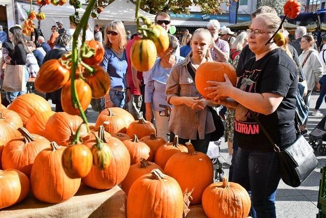 Beim Herbstfest zeigt Lrrach seine Vielfalt