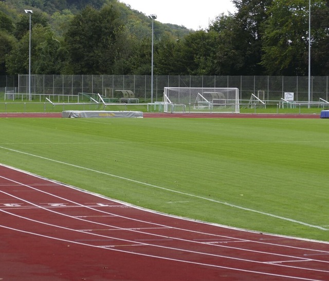 Der Rasenplatz im Wiesentalstadion erhlt eine neue Beregnungsanlage  | Foto: Martina David-Wenk