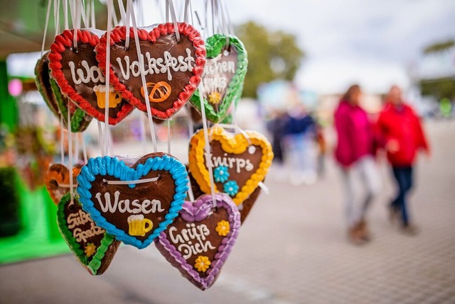 &quot;Volksfest&quot; und &quot;Wasen&... zweitgrte Volksfest in Deutschland.  | Foto: Christoph Schmidt (dpa)