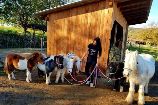 Der Ponyhof  in Eichstetten mchte auf eine neue Flche umziehen